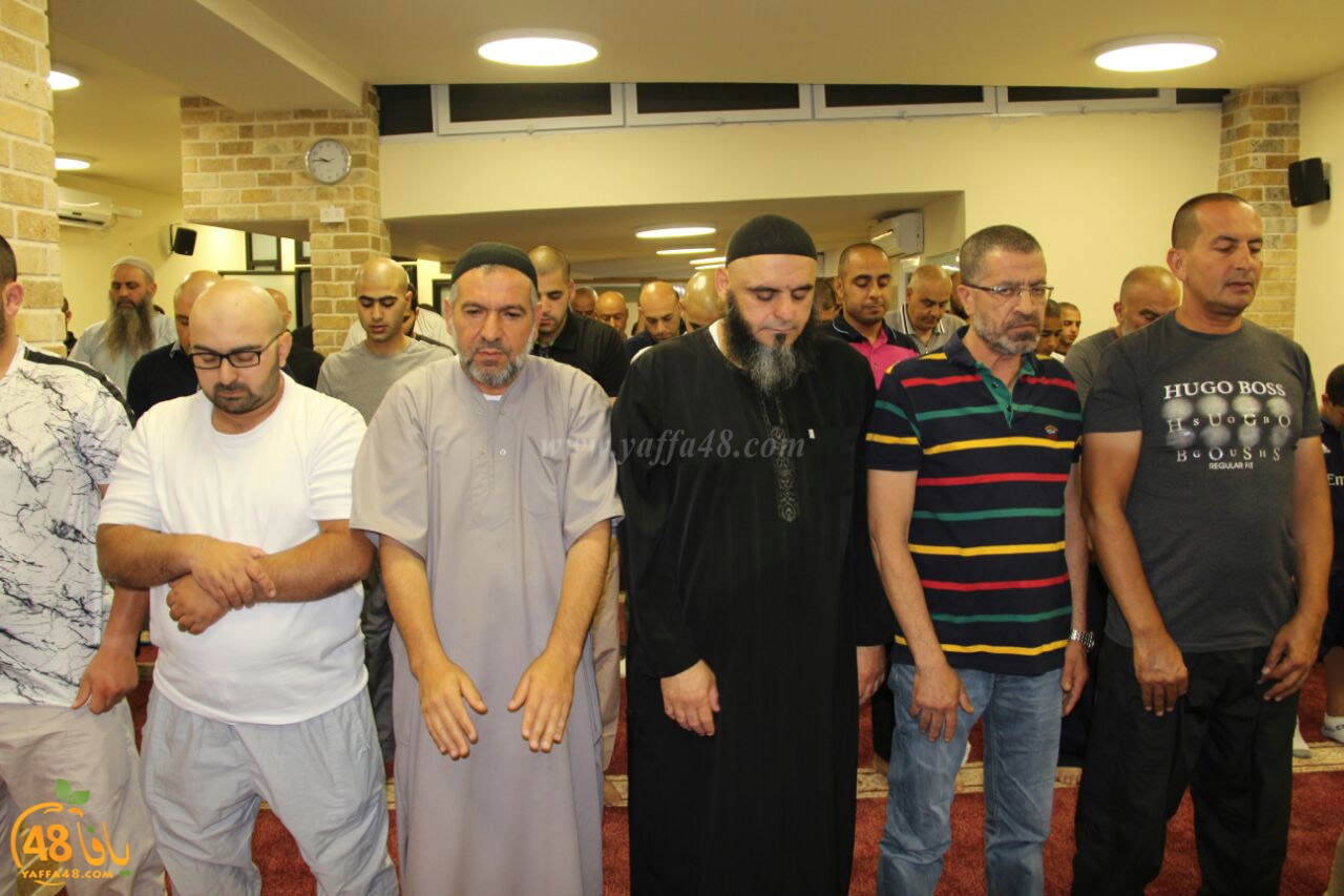 trawe7 mohamed fateh (23).jpg